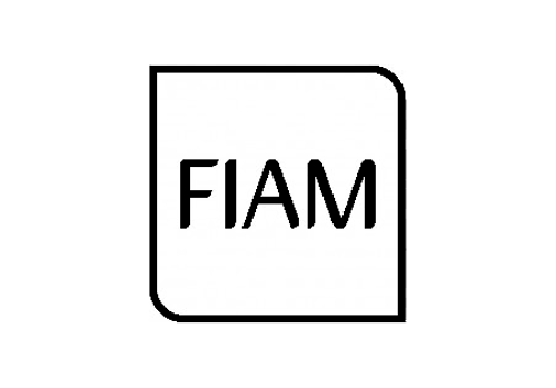 Immagine per la categoria FIAM Immagine per la categoria FIAM